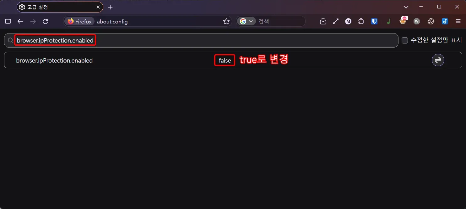 파이어폭스 config에서 ipProtection값 변경