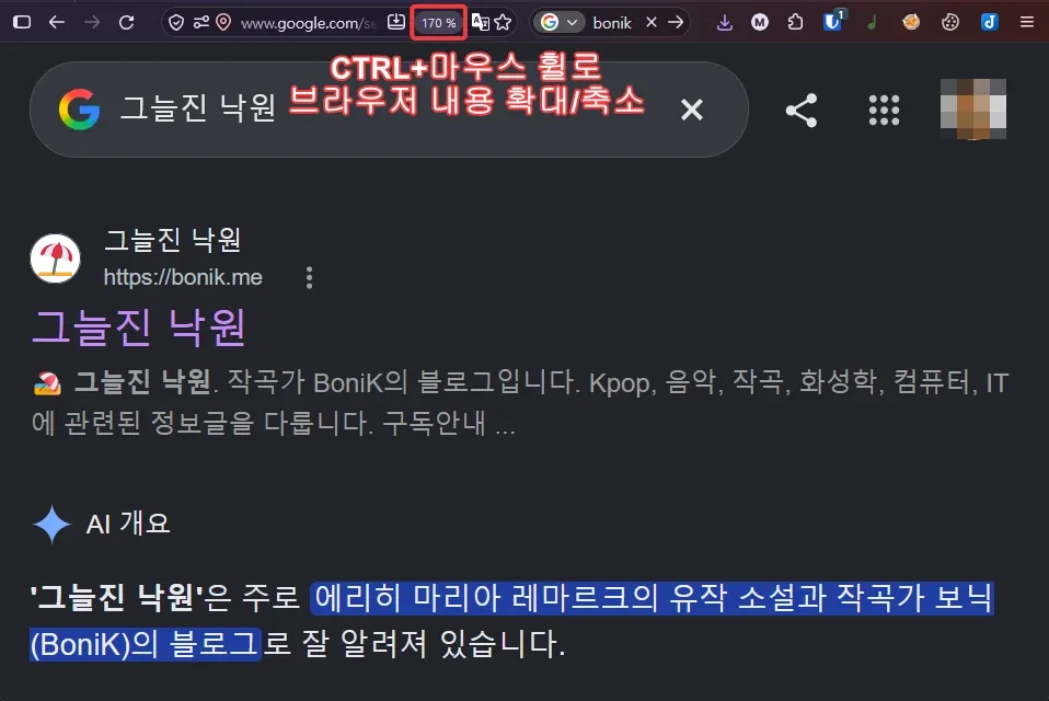 CTRL 키를 누른 채 마우스 휠로 브라우저 화면 확대, 축소